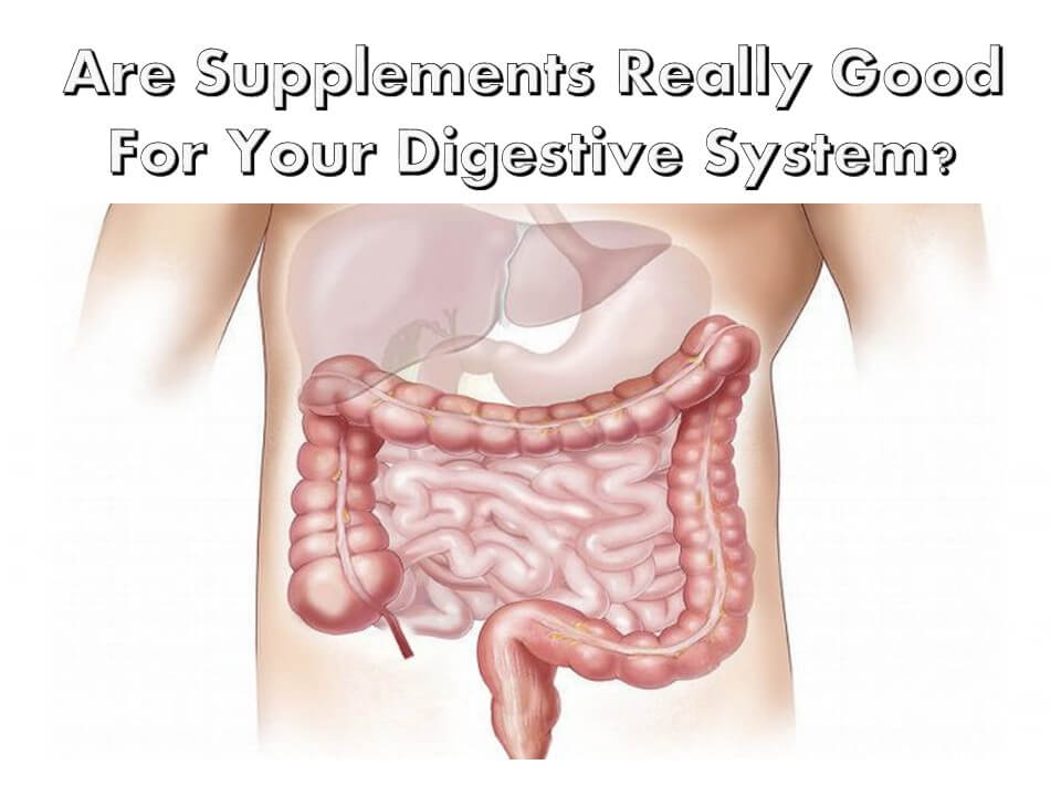 Are Supplements Really Good For Your Digestive System