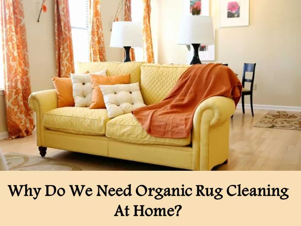 Why Do We Need Organic Rug Cleaning At Home