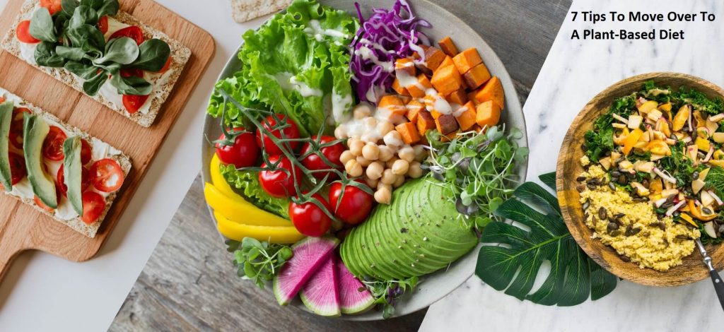 7 Tips To Move Over To A Plant-Based Diet