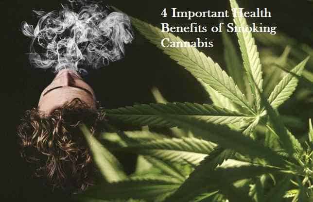 4 Important Health Benefits of Smoking Cannabis