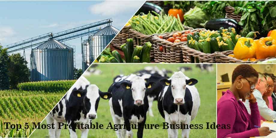 Profitable Agriculture Business