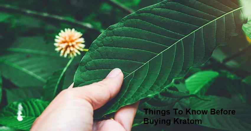 Things To Know Before Buying Kratom