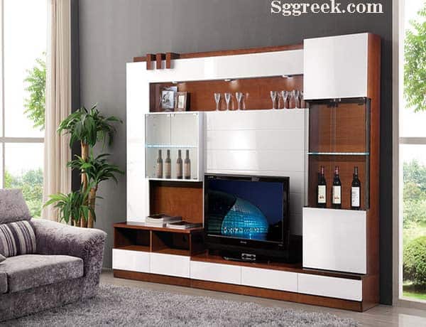 Designs of Sofa and TV Stand