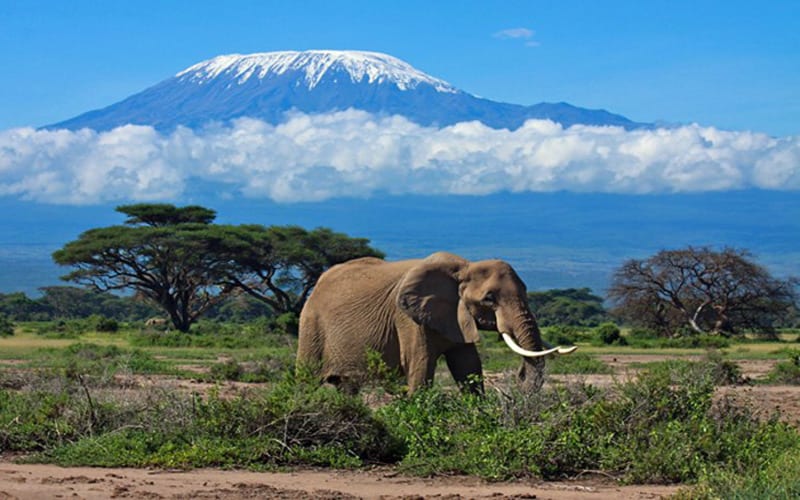 Top tourist Destinations in Tanzania