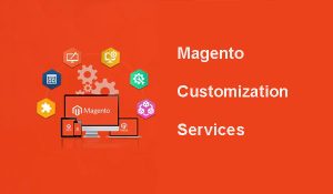 Magento Customization Services
