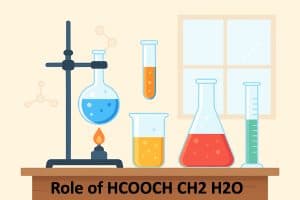 Role of HCOOCH CH2 H2O